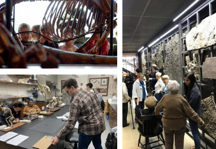 Collage of different visiting groups at the museum