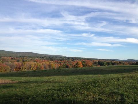 Turtle Hill in the Fall