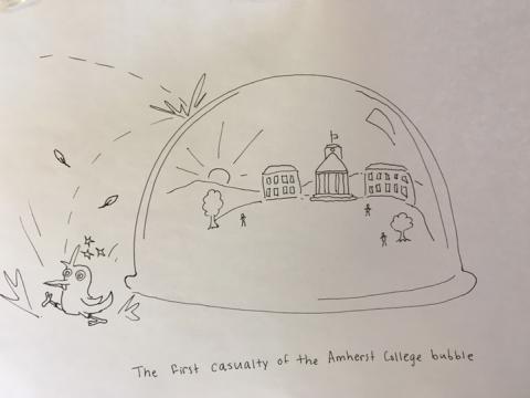 A cartoon I made: first casualty of amherst bubble is a bird