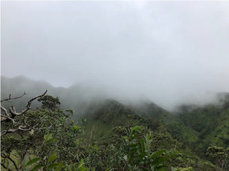 Tropical mountain tops in clouds