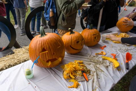 fall fest pumpkin carving