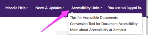 moodle accessibility links menu screenshot