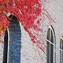 leaves_arched_windows_130x130.jpg