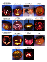 Pumpkin_Collage_PNG.png