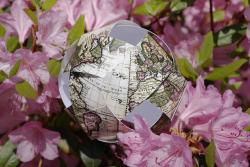 A paper globe set in the middle of pink flowers