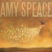 Album Cover: Land Like a Bird