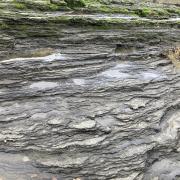 Image shows beds of layered dark grey sedimentary rocks by the side of a river