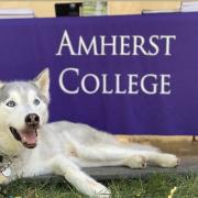 Shadow at admissions