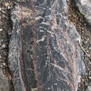 Picture of lines I drew on a rock to help identify it while working with my classmates