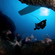 Underwater robotics
